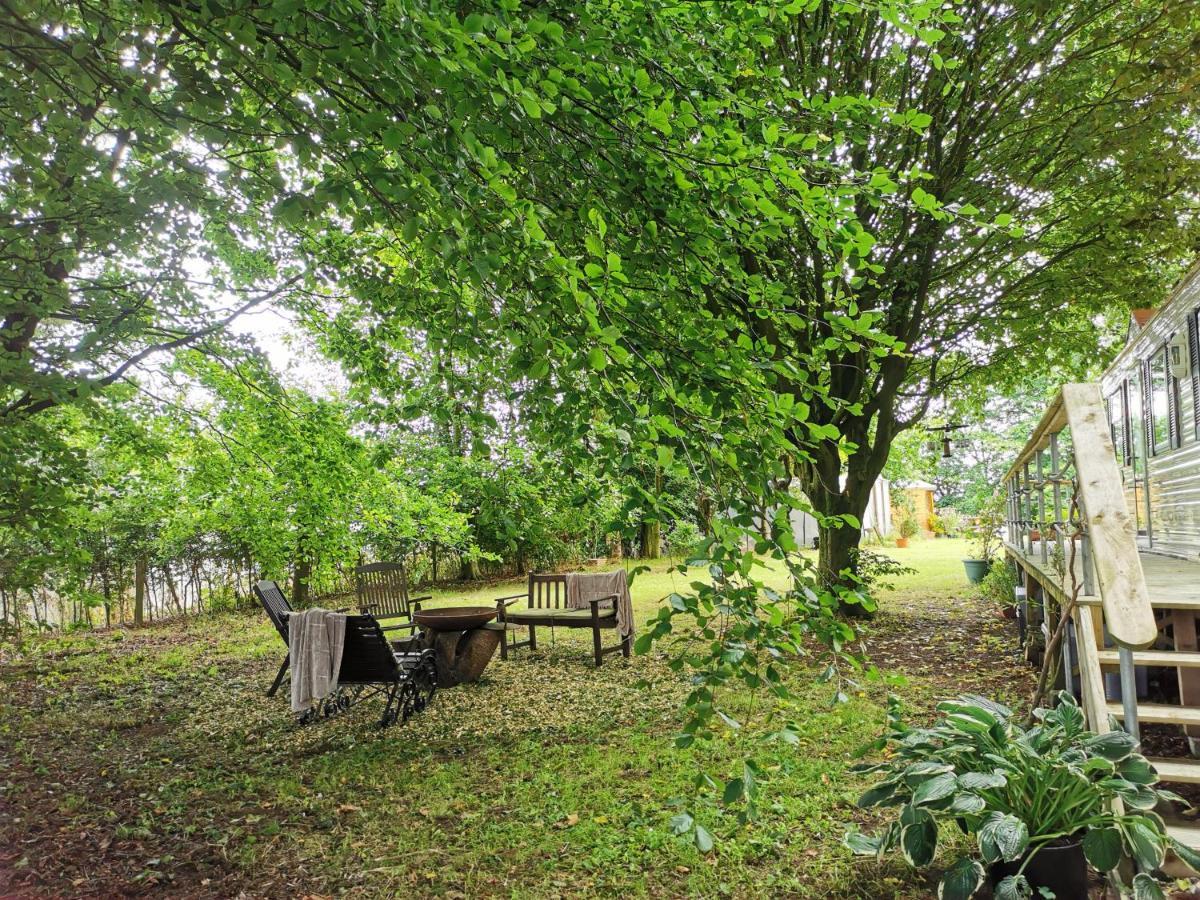 Doughery Den The Dark Hedges Hideaway Armoy Buitenkant foto