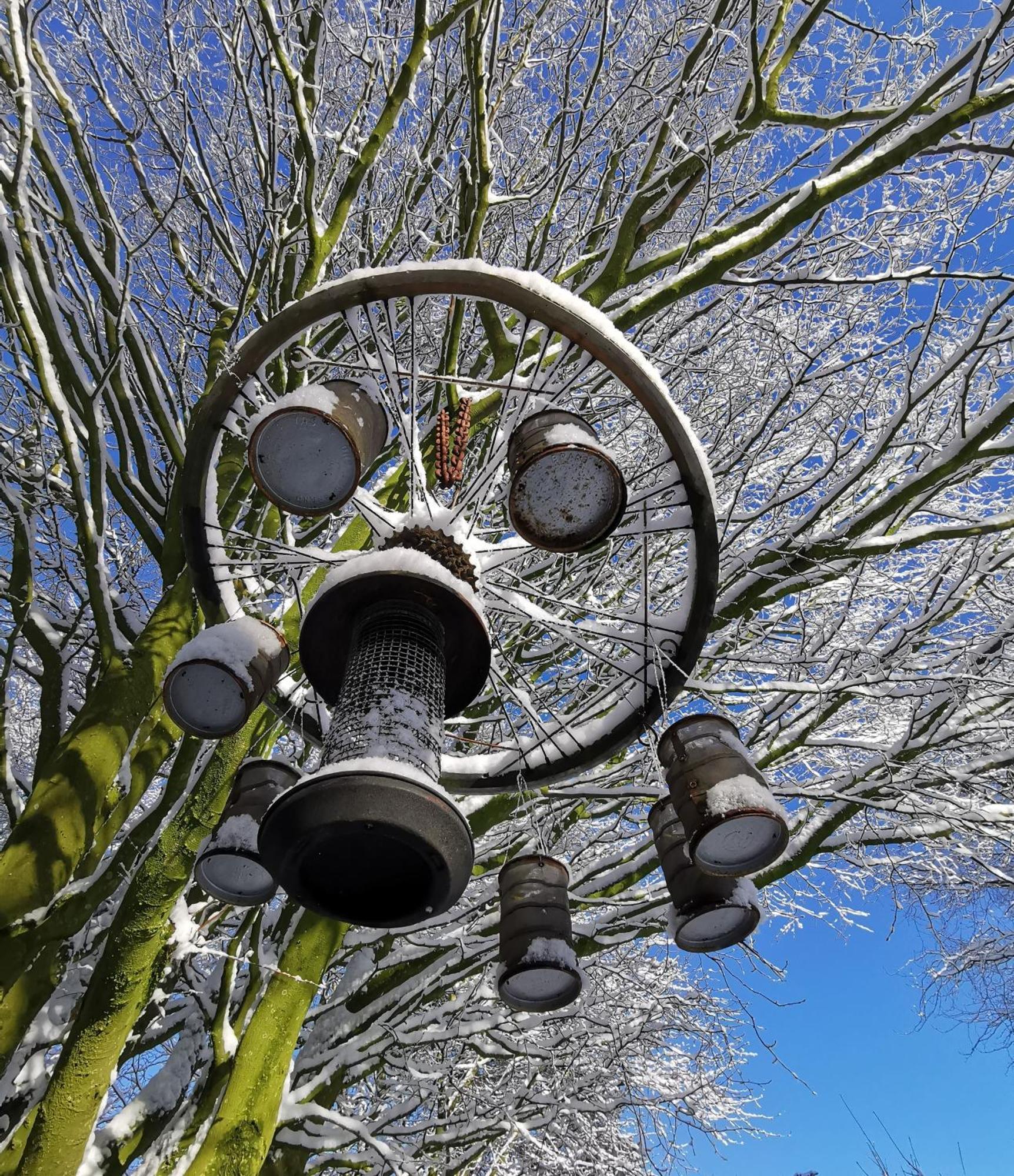 Doughery Den The Dark Hedges Hideaway Armoy Buitenkant foto