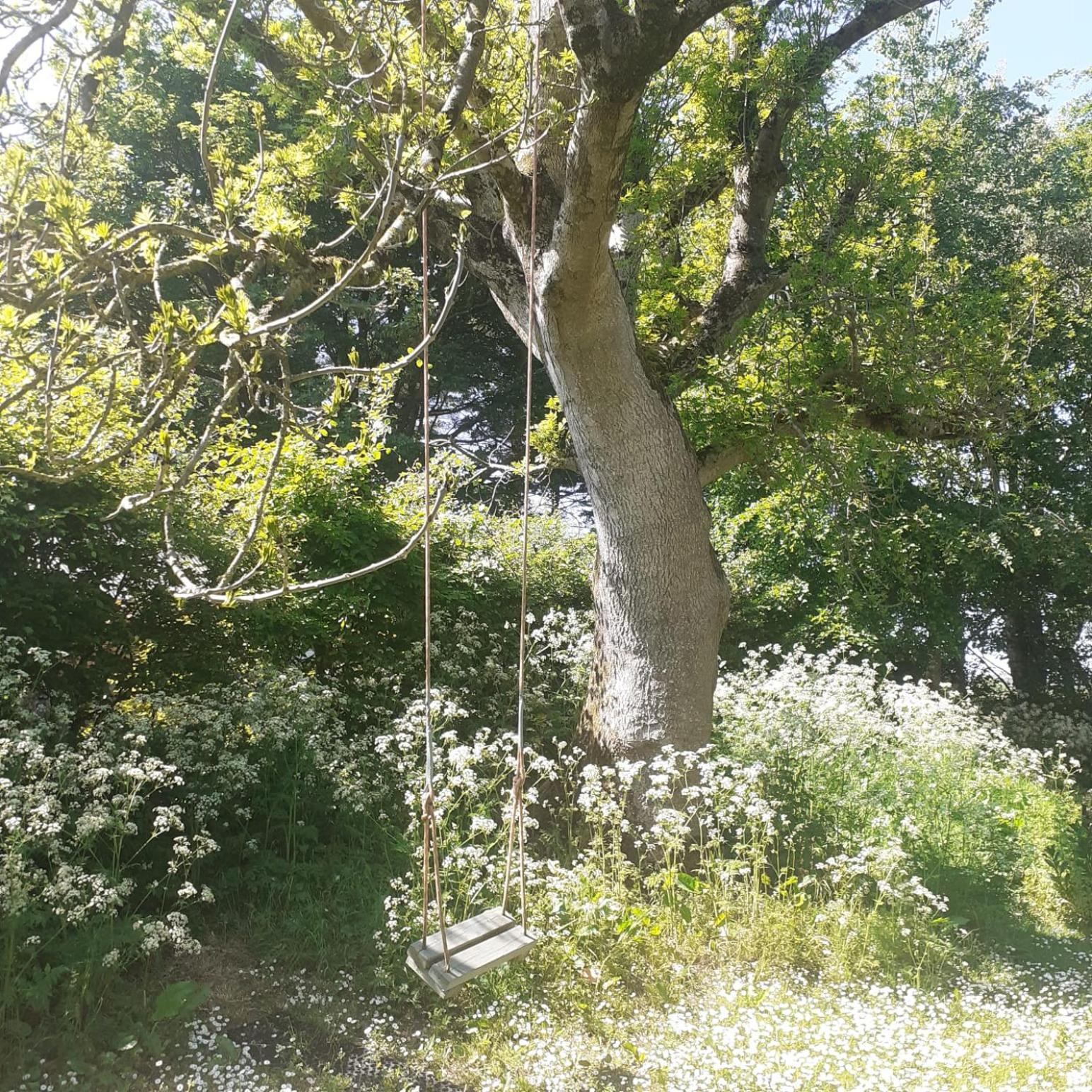 Doughery Den The Dark Hedges Hideaway Armoy Buitenkant foto