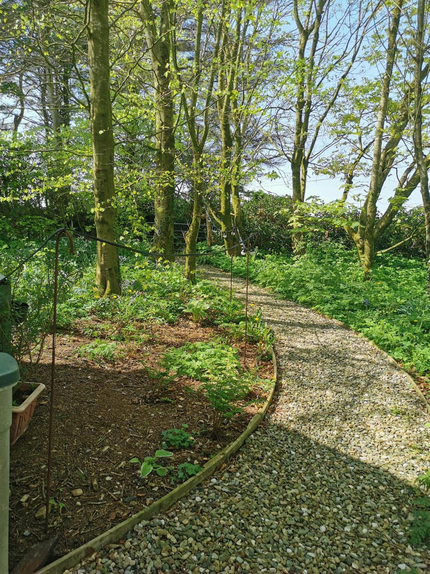 Doughery Den The Dark Hedges Hideaway Armoy Buitenkant foto